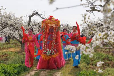 湖北枣阳：梨园闹春