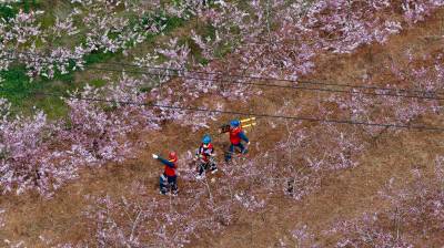 枣阳春日巡检保供电（客户端采稿）