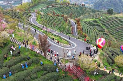 发展特色产业 助推乡村振兴