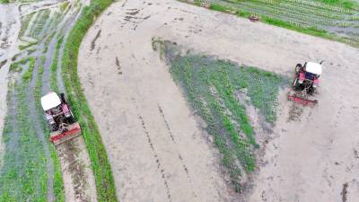 房县：春耕生产水“先行”