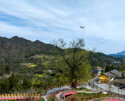 湖北秭归：古树有 “医保” 守护更高效（客户端采稿）