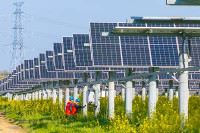 湖北荆门：“农光互补”助力绿色发展