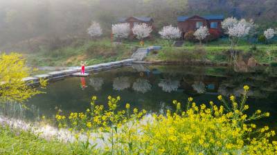 雾里春溪  花映木屋