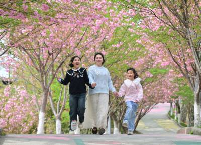 堵河干流黄龙库区房县樱花岛景美人醉