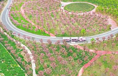 生态修复景色新