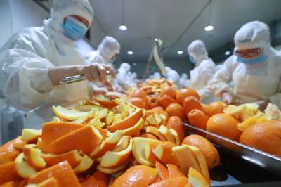 湖北秭归：创新橙皮工艺 助力乡村振兴（客户端采稿）