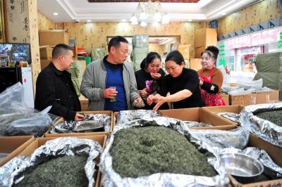 湖北：茶叶产销忙 茶产业综合产值突破千亿元