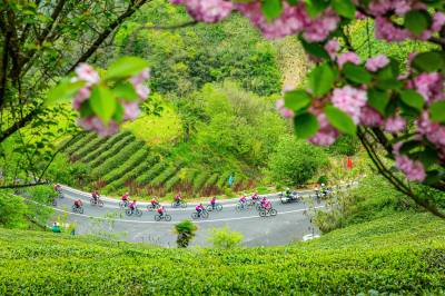 茶山叠翠间，骑行竞速——竹山“桃源春光”活动欢乐开赛（客户端采稿）
