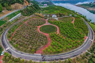 竹山千秀花海：废弃公路建设用地变身春日休闲胜地