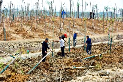 郧阳湖国家湿地加快绿美建设