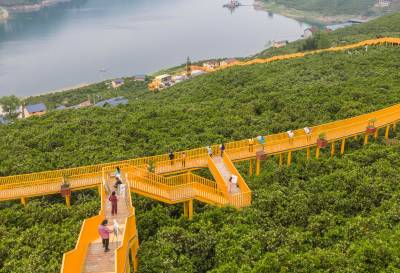 脐橙花果香  画家写生忙