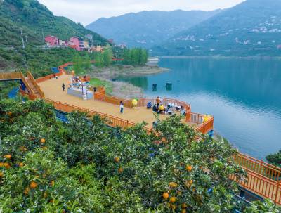 湖北秭归：花果同枝入画卷 水墨丹青绘新景
