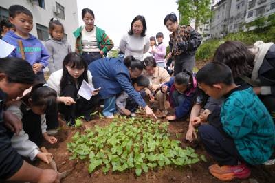 湖北巴东：劳动实践促成长