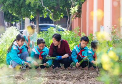 湖北襄阳：忙农事 迎谷雨