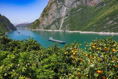 花果飘香壮丽西陵峡