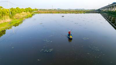 湖北武汉：深耕螃蟹养殖产业 共绘乡村振兴画卷