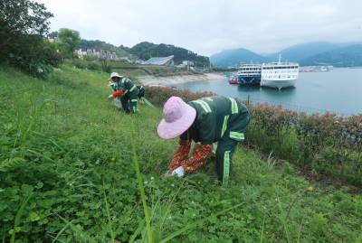秭归为城市绿植“梳妆美颜”（客户端采稿）