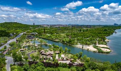 岸线修复 生态如画