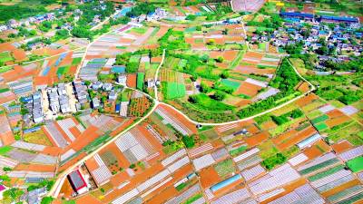 生态田园 风光如画