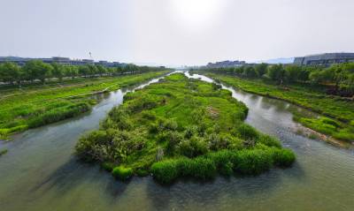  房县：河流“滤芯” 净化水质