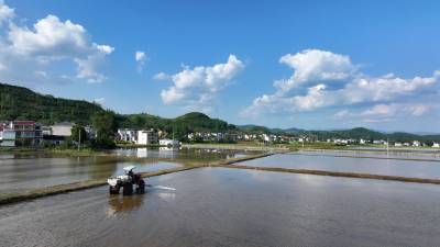 湖北房县：秧田喷药管护忙