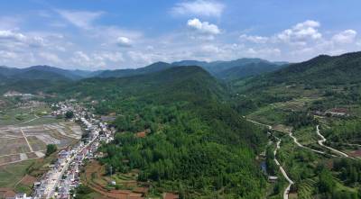  湖北房县：“林长制”实现“林长治”