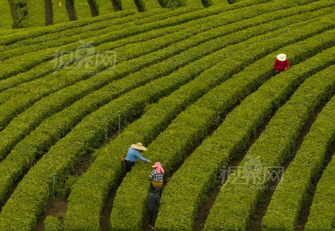 985908