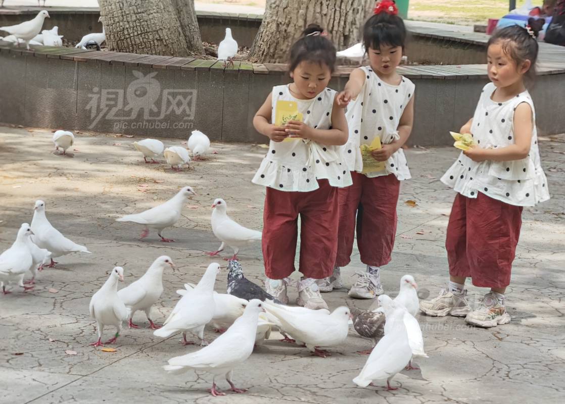 987032
