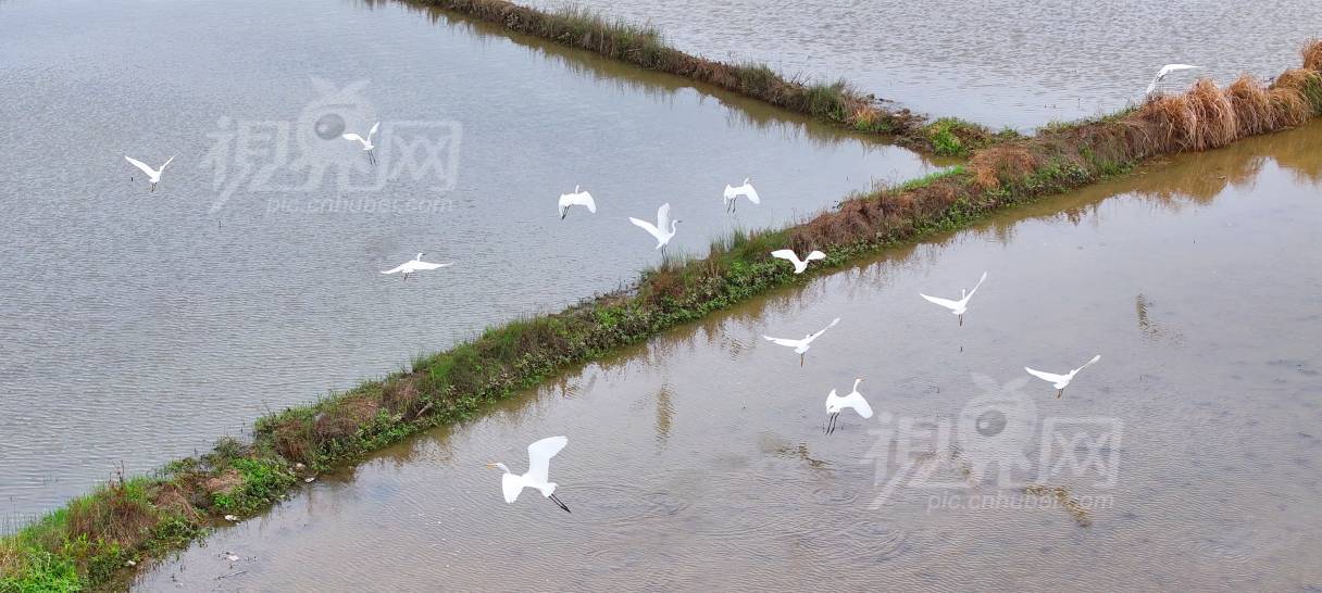 988292