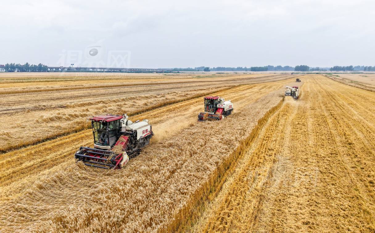 988388