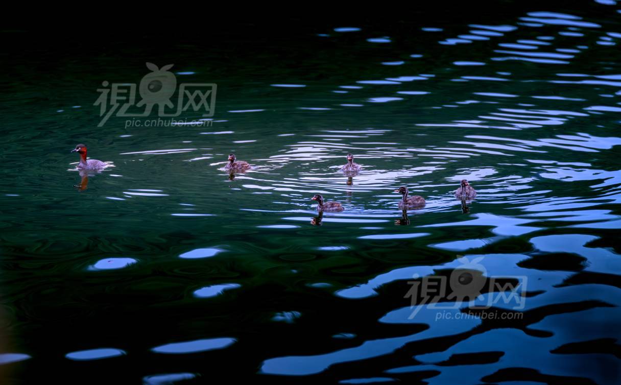 988607