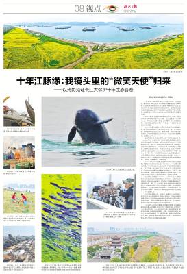 2026.4.24 十年江豚缘：我镜头里的“微笑天使”归来