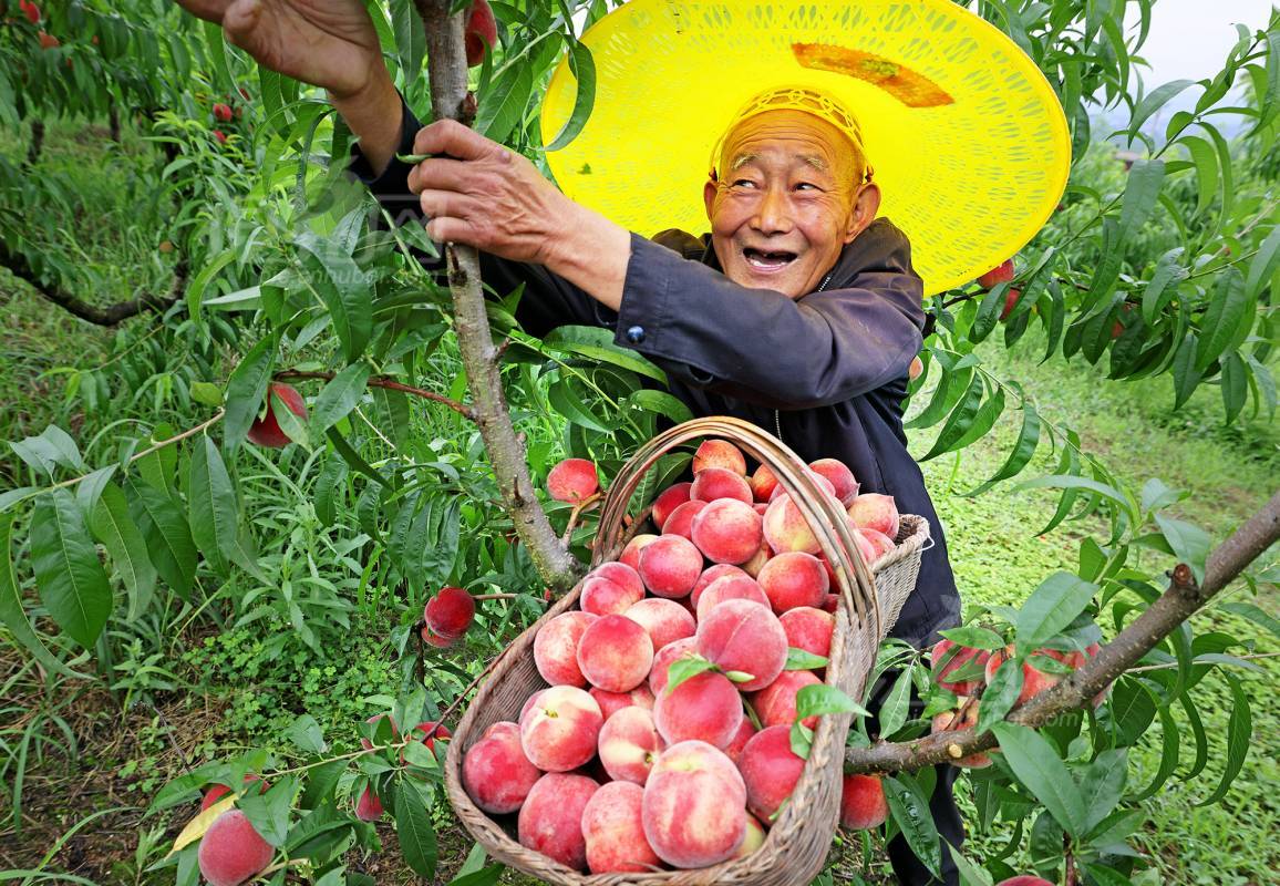 990893