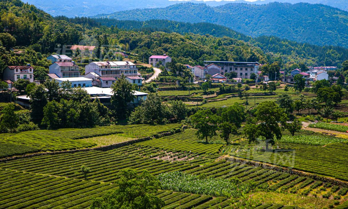 991291