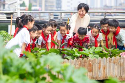 湖北襄阳：学农事 迎芒种