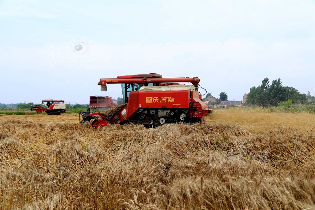 991863