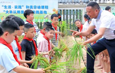 湖北恩施：学生插秧体验农耕