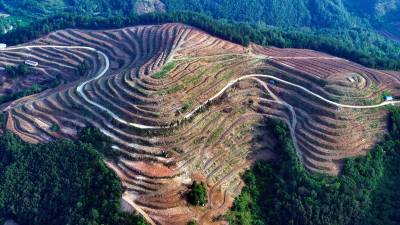 郧阳30年坡改梯4.6万亩
