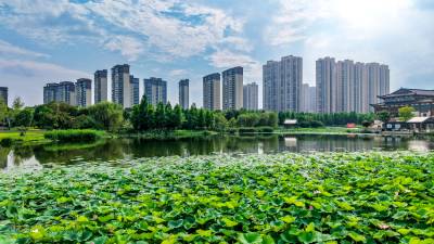 浠水：荷畔新城入画来
