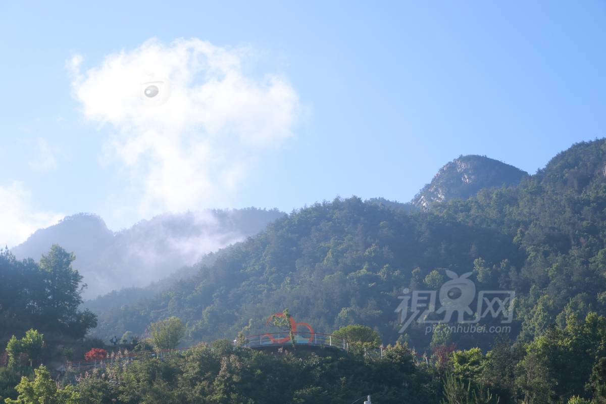 994826