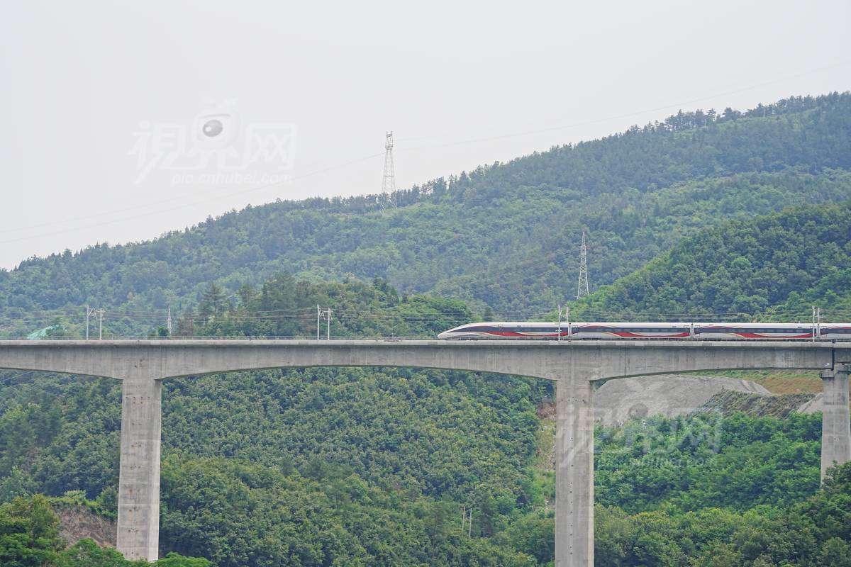 996254