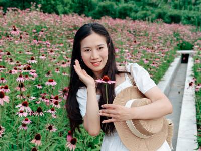 竹山县上庸镇千绣花海松果菊园成热门打卡地