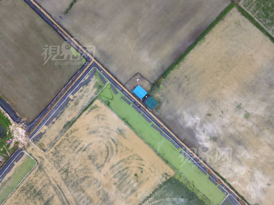 997178