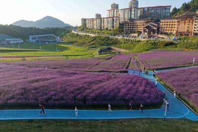 湖北巴东：高山避暑乐悠悠（客户端采稿）