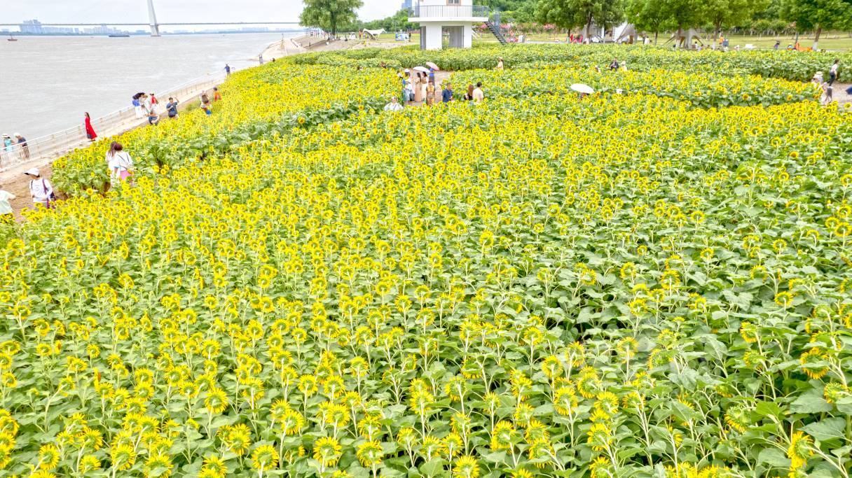 998908