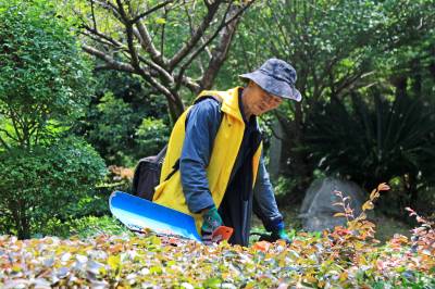 湖北恩施：不畏烈日“烤”验“汗”卫城市容颜